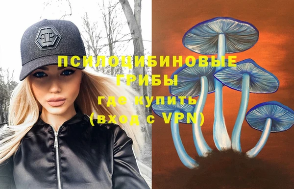 винт Алексин