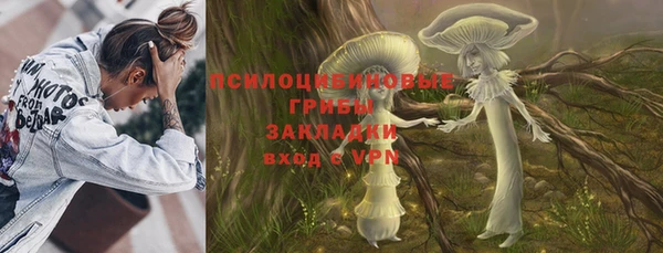винт Алексин